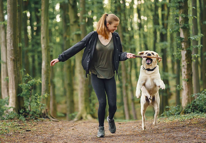 Dog's Strength