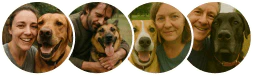 Loved by 100,000+ dogs