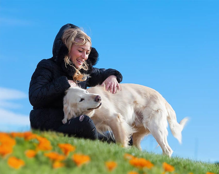 What Pet Parents Can't See About Their Pup's Health