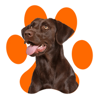 Pawprint Protocol
